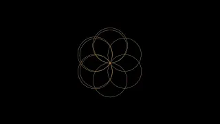 draw flower using python python turtle graphic technicalworld9135