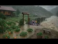 Download Lagu Leven buiten de gebaande paden tijdens een overstromingsramp: we hebben geoogst, gewassen verkocht