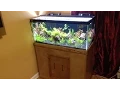 DIY Stand for a 40 gallon breeder Tank