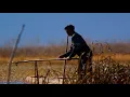 Download Lagu Lugu Lake