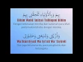 Download Lagu Tawassul Al Walid Al Habib Abdurrahman Assegaf (Lirik \u0026 Arti)
