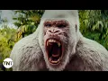 Davis Dwayne Johnson Can Communicate With Gorillas CLIP Rampage 2018 TNT