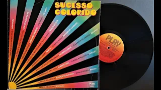 Sucesso Colorido - ℗ 1981 - Baú Musical