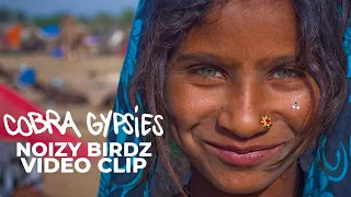 Raphael Treza - Noizy Birdz [video clip from Cobra Gypsies]