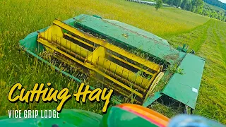 Cutting Hay With A CHEAP John Deere Hay Conditioner