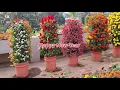Download Lagu How to Make Flower Tower | Vertical Gardening at home | EASY Method | Innovative gardening idea