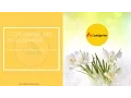 CodeIgniter Web Development with perfect blend of class and Creativity