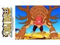 One Piece Collection 5 - Available on DVD 3 13 12