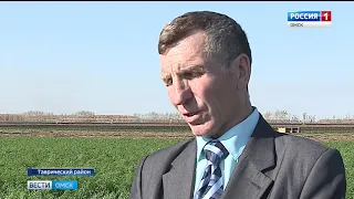 Уборочная кампания в Омской области должна быть завершена в ближайшие дни