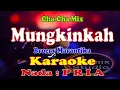 Download Lagu KARAOKE CHA CHA - MUNGKINKAH - BROERY MARANTIKA