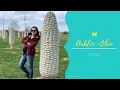 Vlog 3 days in Dublin Ohio Planning wedding festivities TJ Maxx Marshall s finds