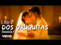 Download Lagu Sebastián Yatra - Dos Oruguitas [1 HORA]
