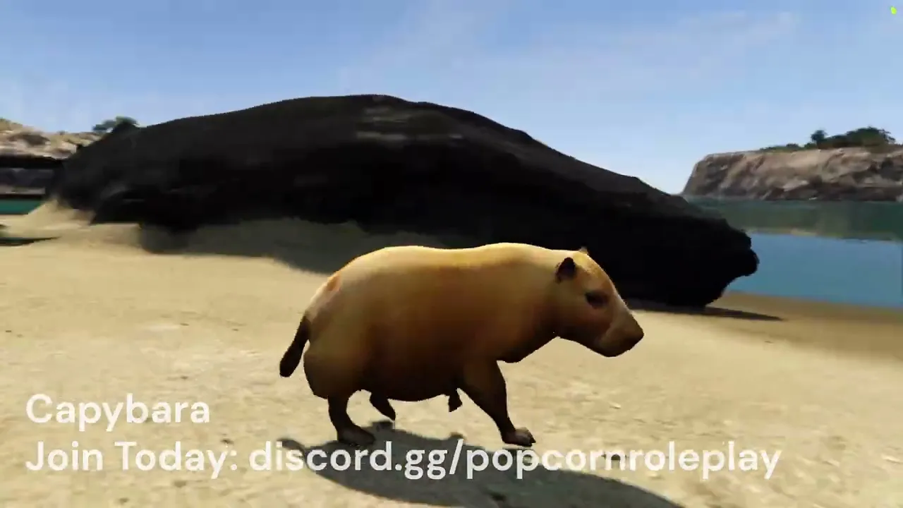 Capybara