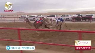 الشوط 9 الشاهينيه لـ محمد حمد راعي قحير الدرعي 2 12 34 شارة الصندوق 2023 03 19 فطامين الرقيعات 