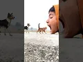 Download Lagu All Domestic Animals in My Mouth😅😅  Funny vfx magic video