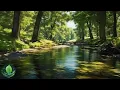自然の中へ：ピアノ音楽と鳥のさえずりでリラックスと疲労回復を | Healing Music