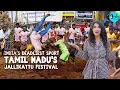 India s Deadliest Bull Taming Festival - Jallikattu In Tamil Nadu Ft Neha Nambiar Curly Tales