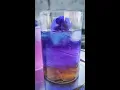 Download Lagu Butterfly pea flower lemonade