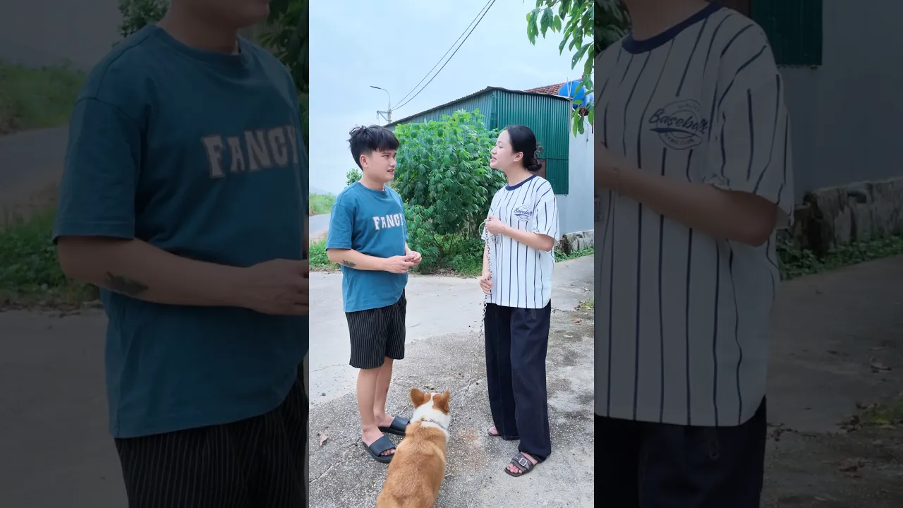 Để em giải thích đã