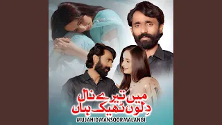 main tery nal dilon thik haan