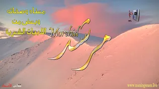 ما معنى اسم  مرشد وبعض من صفات حامل هذا الاسم على قناة معاني الاسماء          دندنها