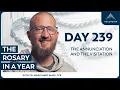 Download Lagu Day 239: The Annunciation and the Visitation — The Rosary in a Year (with Fr. Mark-Mary Ames)