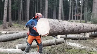 Lumberjack Little Harvester And Very Good Work In The Forest 