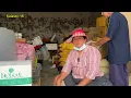 Download Lagu Tiba2 boss datang Tanya aku kapan pulkam ‼️ Sulastri 15 langsung curhat ke Boss , Tkw Taiwan. MP3