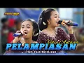 Download Lagu Vidia Antavia - Pelampiasan - Swara Nada Music - Nada Mama Audio
