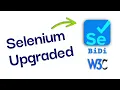 Selenium WebDriver BiDi Mock API Responses