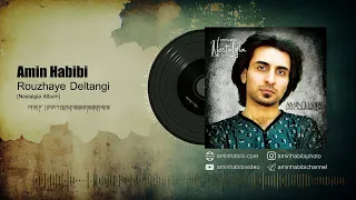 Amin Habibi Roozhaye Deltangi 
