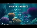 Aquatic Ambience - Scizzie (slowed + reverb) 1 Hour