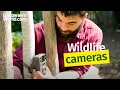 Wildlife cameras - Buyer s Guide from BBC Gardeners World Magazine