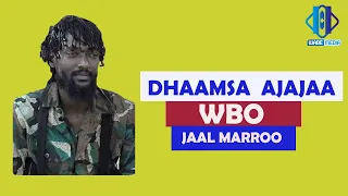 Dhaamsa Ajajaa WBO Jaal Marroon Haala Yerroo Irratti Dabarse August 10 2021 