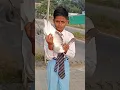 Punjabi song 🕊️ pegion shorts 🥰 subscribe 👍#pigeon #shorts #birds #pets #kabootar #kabutarbazi
