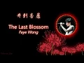 Lagu 王菲 Faye Wong - 开到荼蘼 The Last Blossom 【Chinese/Pinyin/English Lyrics】