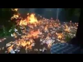 GARDEN EXPLOSION 4K ENGLISH
