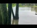 Tree House Apartments Schaumburg Detention Pond Flood