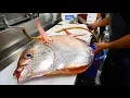 Download Lagu Japans straatvoedsel - gigantisch sunfish Japan zeevruchten