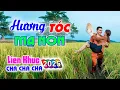 Lagu Hương Tóc Mạ Non, LK Bolero Cha Cha Toàn Bài Hay, Phối Mới Cực Chuẩn Nghe Thử Nghiện Luôn Nhé.