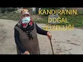 Lagu KOCAELİ KANDIRA GEMİCİPINARI KÖYÜ