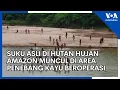 Download Lagu Suku Asli di Hutan Hujan Amazon Muncul di Area Penebang Kayu Beroperasi