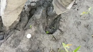 waders sinking in thick sticky mud