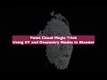 LIVENODING Point Cloud Magic Trick Using SV and Geometry Nodes