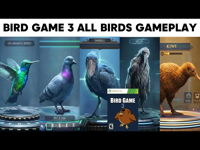 Bird Game 3 All Birds Gameplay