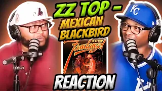 zz top mexican blackbird reaction zztop reaction trending
