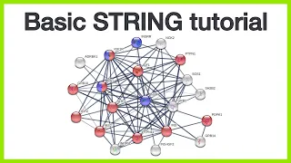 Basic STRING tutorial Protein query network views query parameters and enrichment visualization