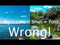 What is the difference between a lake and a pond Lake vs pond