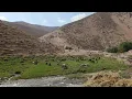 Download Lagu Het harde leven van de nomaden in het Zagrosgebergte, ver van de beschaving