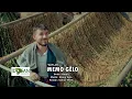 Download Lagu Memo Gelo - Daylan 2019